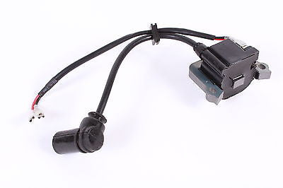 300472 IGNITION COIL VIPER - Earthquake / Ardisam