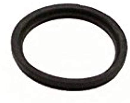 300481 Ardisam O-Ring Genuine Original Equipment Manufacturer (OEM) Part Earthquake Viper