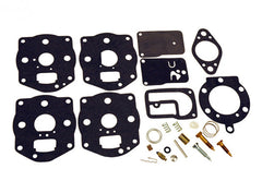 80-31-018 KIT CARBURETOR Briggs & Stratton 394502, 491539, 694056.  For 3- hole fuel pump.