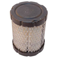 STENS 102-016.  Air Filter / Briggs & Stratton 796032