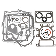 Stens 480-039 Gasket Set replaces Briggs & Stratton 495993