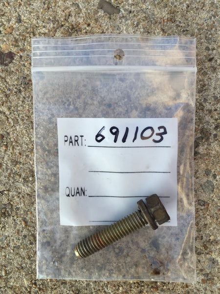 691103 *USED* Briggs & Stratton Screw-Sump.