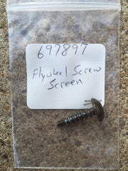 697897 Screw - Flywheel  Screen *USED*