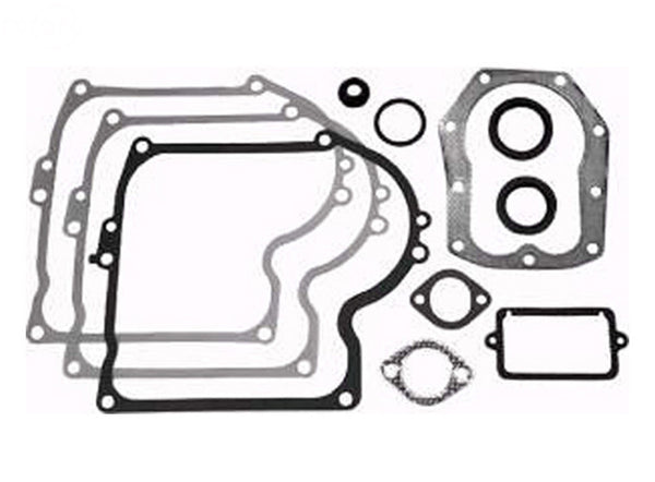 Rotary 8951. GASKET SET BRIGGS & STRATTON: 393411